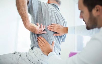 Acupuncture & Chiropractic Care: What to Expect for Your Wellness Journey